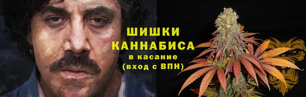 ГАЛЛЮЦИНОГЕННЫЕ ГРИБЫ Заводоуковск
