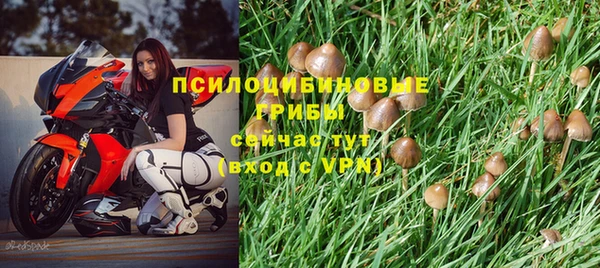 а пвп мука Заволжск
