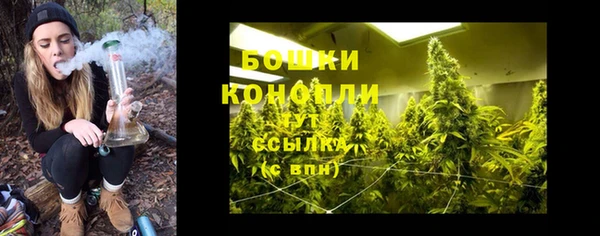 ГАЛЛЮЦИНОГЕННЫЕ ГРИБЫ Заводоуковск