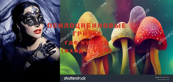 а пвп мука Заволжск