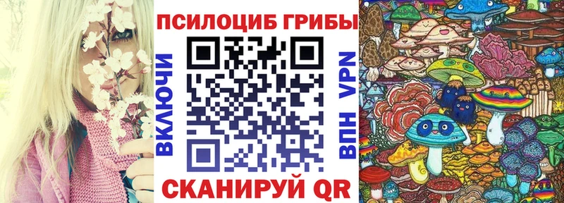 Купить  Красный Холм  Псилоцибиновые грибы ЛСД 